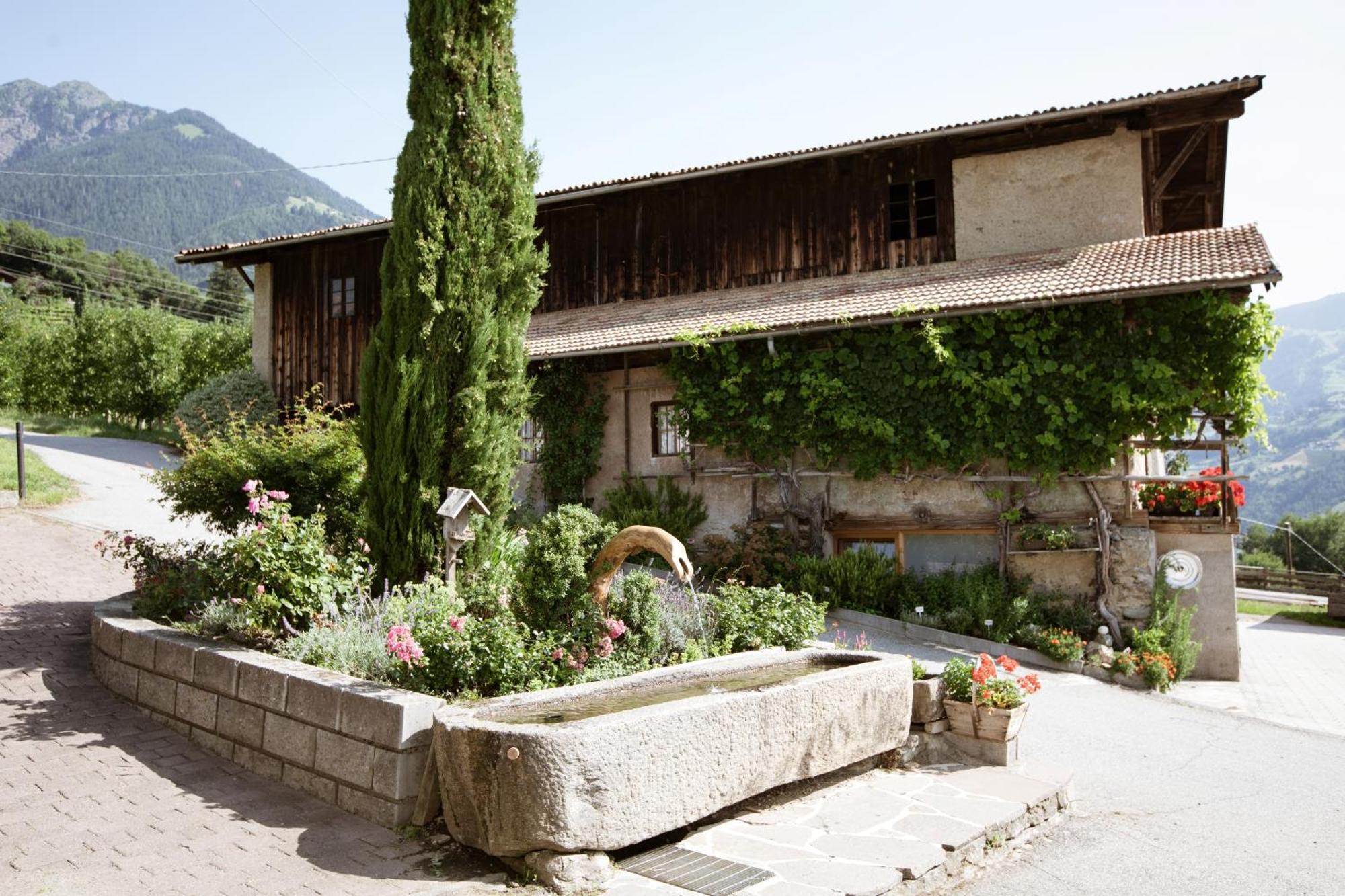 Bed and Breakfast Nössinghof Dorf Tirol Exterior foto